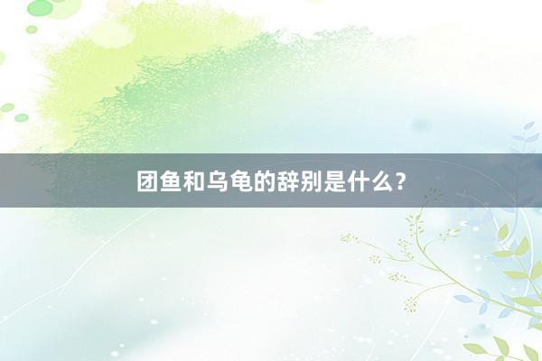 团鱼和乌龟的辞别是什么？