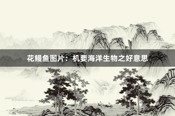 花鳗鱼图片：机要海洋生物之好意思