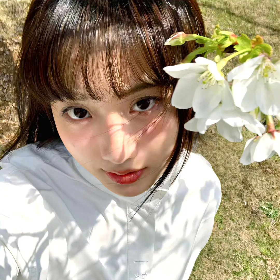 E.O. Wilson: 给年轻科学家的忠告